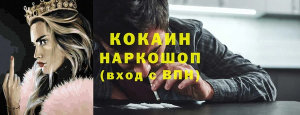индика Алексин