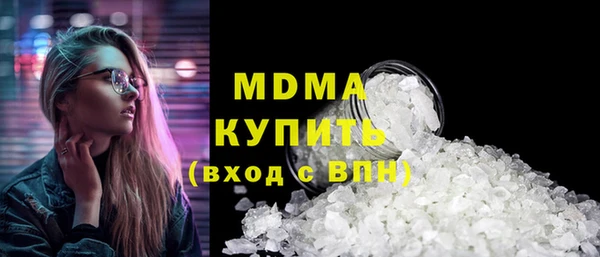 индика Алексин