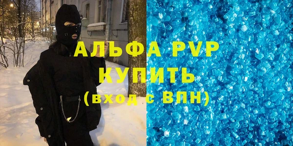 индика Алексин