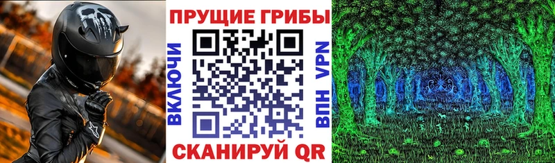 Псилоцибиновые грибы Cubensis даркнет сайт Назрань